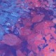 Пътна чанта GABOL 2025 - SUNSET 236197 003 |  |  |