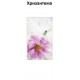 Холна маса Медея |  |  |